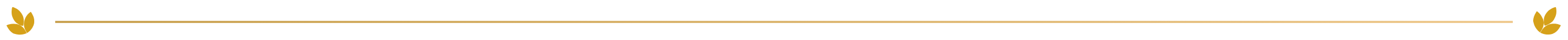 Desktop Banner