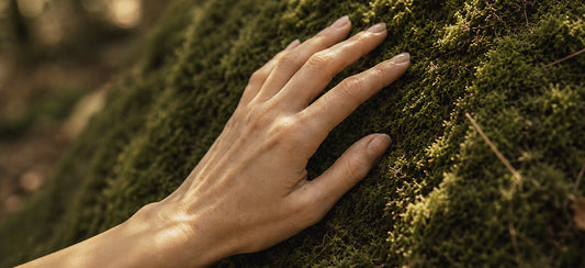 10 Things Your Skin Remembers About Your Daily Routine