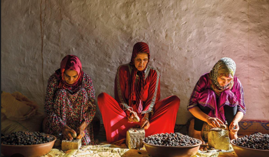 Unveiling the Art of Argan Oil Extraction: A Guide to Selecting Quality Products.