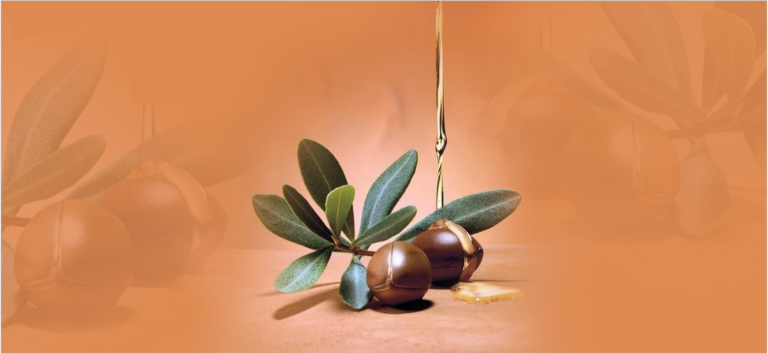 Unlocking the Secrets of Argan Oil : Why It's the Ultimate Choice