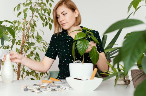 How Natural Beauty Products Align With Sustainable Living