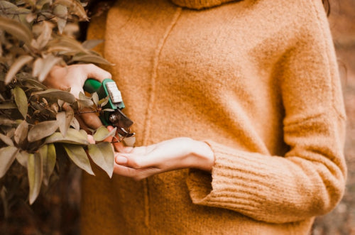 How Karmic Beautys Organic Argan Oil Helps to Strengthen Your Hair