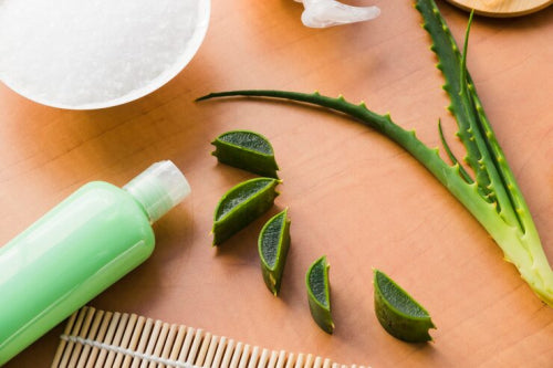 Aloe Vera for Hair and Scalp: What Works and What Doesnt