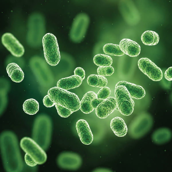 Evobiome™