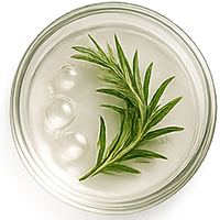 Rosemary Water Base