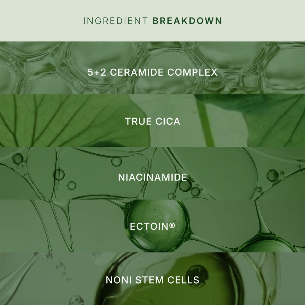 LONGÈVE BLEND™ Mattifying Hydra All Day Cream