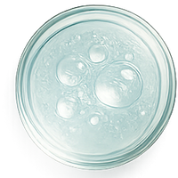 Moringa Derived EverBond™