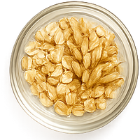 Hydrolyzed Proteins Wheat, Keratin & Rice Protein