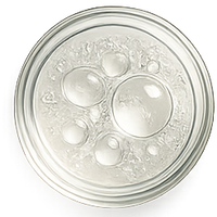 Moringa Derived EverBond™