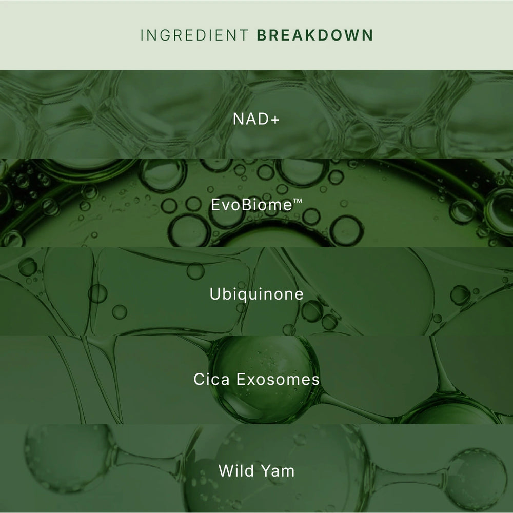 NAD+ Skin Longevity Night Cream Powered by LONGÈVE BLEND™