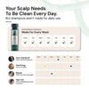 Daily shampoo use and scalp care guide