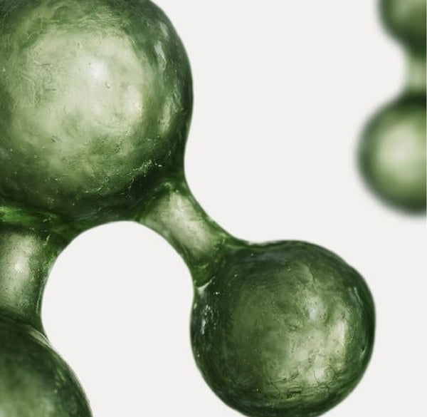 Bioactive Ectoin