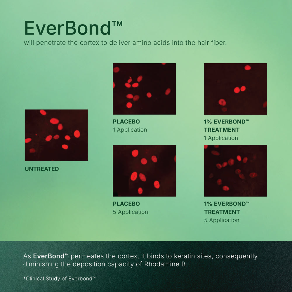 EverBond™ Keratin Crème Conditioner