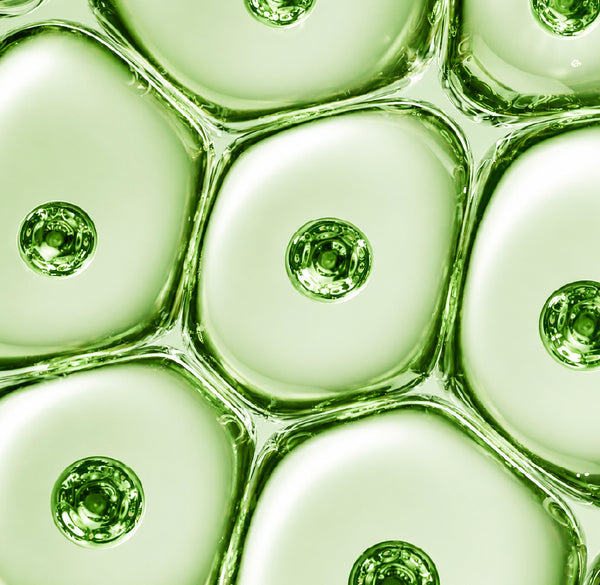 3 Ceramide Complex