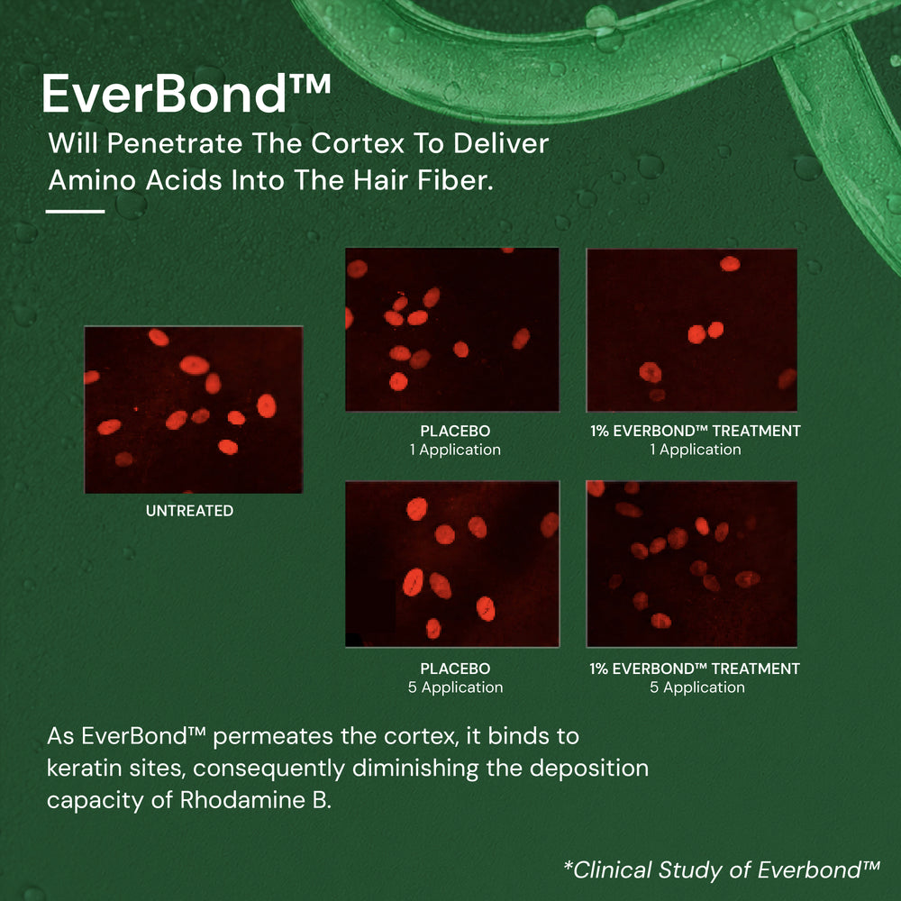 EverBond™ Keratin Crème Conditioner