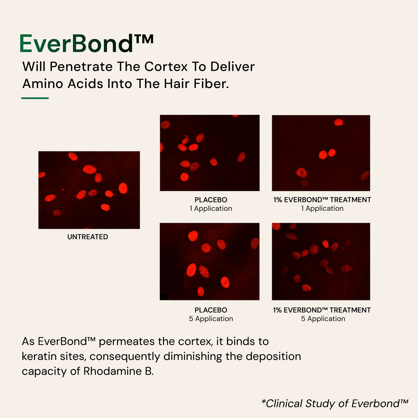 Anti Frizz/Bond Repair