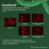Everbond™ Keratin Repairing Shampoo
