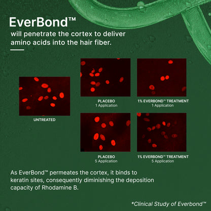 Everbond™ Keratin Repairing Shampoo