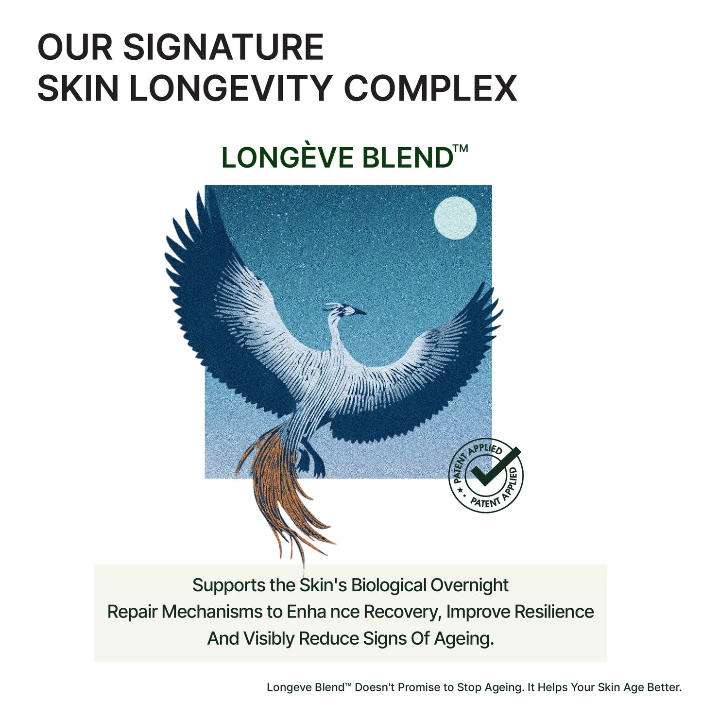 LONGÈVE BLEND™ NAD+ Skin Longevity Night Cream