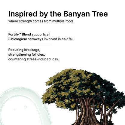 Root Strengthening Shampoo