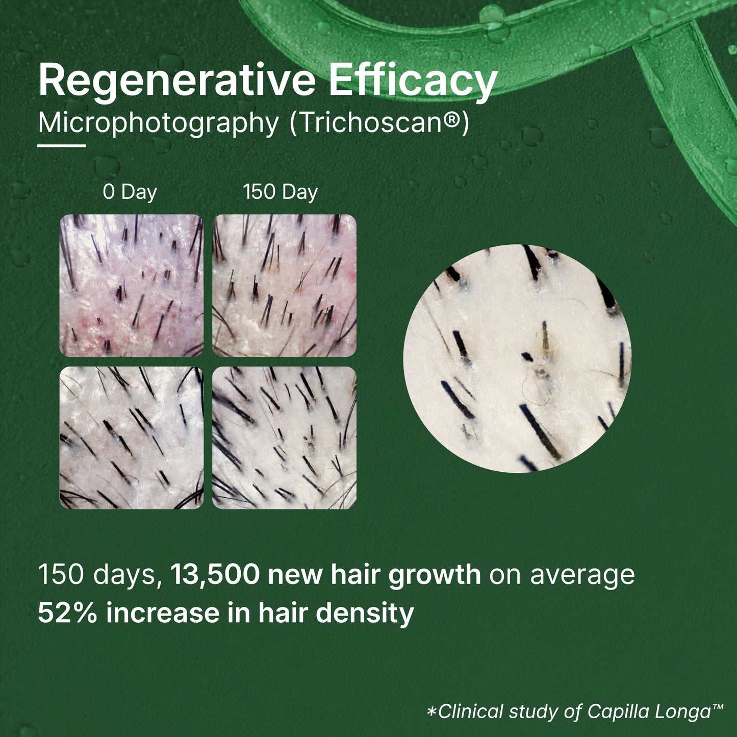 Root Strengthening Shampoo