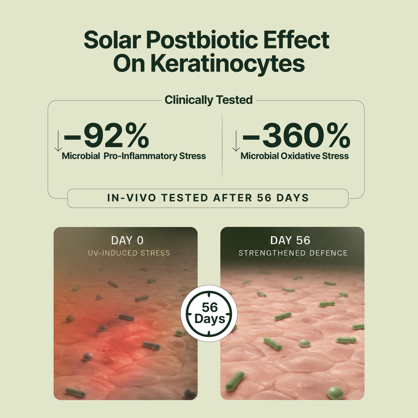 Longevity Sunscreen™ Spf 50 PA++++ with Photobiome™ Complex
