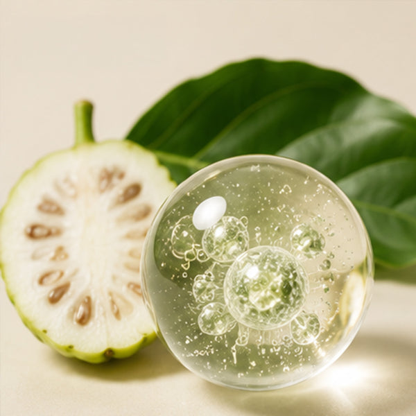 Noni Stem Cells (Quora Noni)