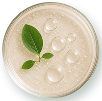 Salicylic & Lactic Acid