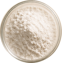 Piroctone Olamine